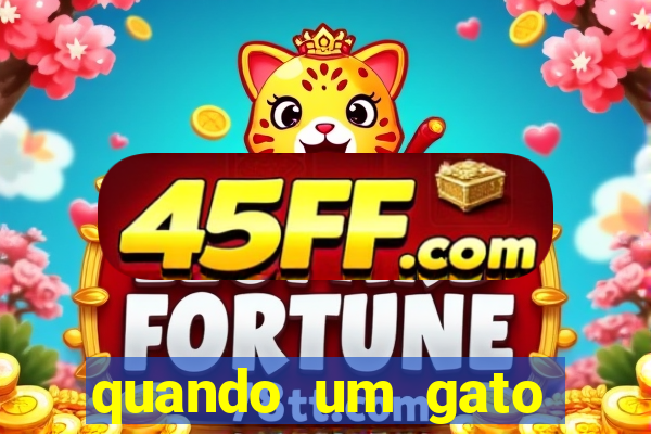 quando um gato aparece do nada significado espiritual